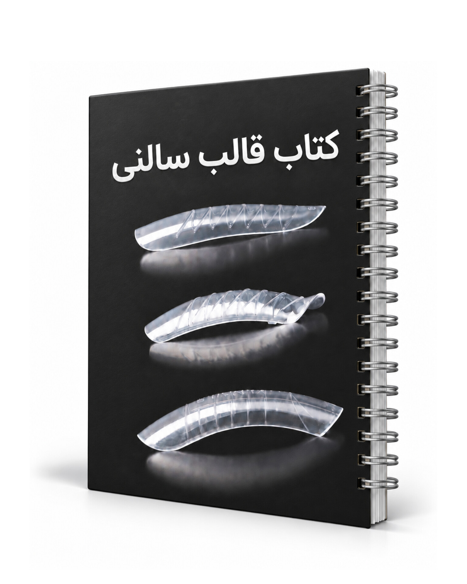 کتاب قالب سالنی  (نسخه PDF)